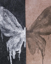 T Shirt mit Schmetterlingen