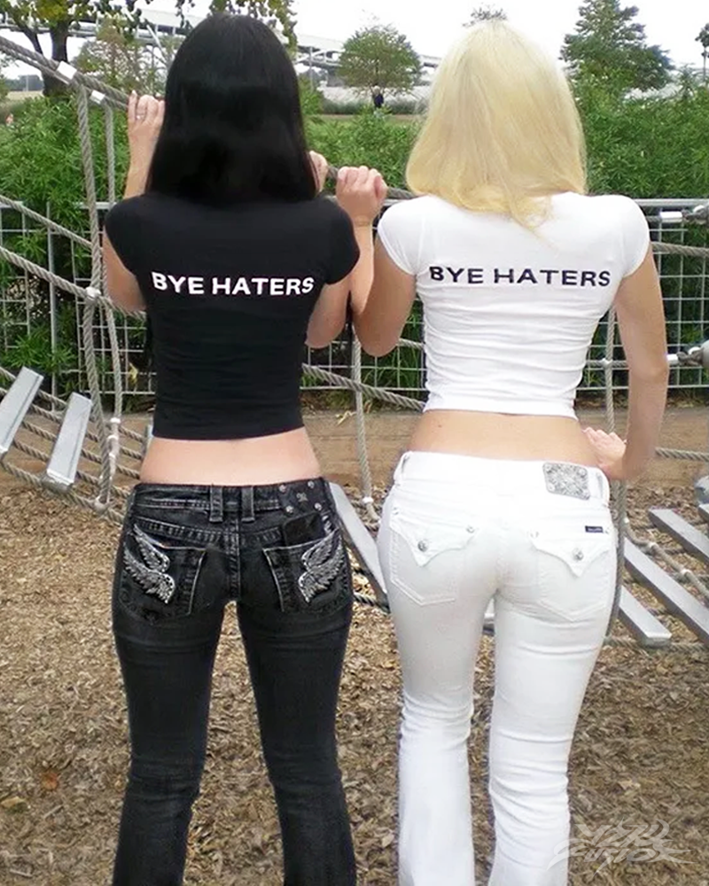 Hi Haters Bye Haters Crop Top