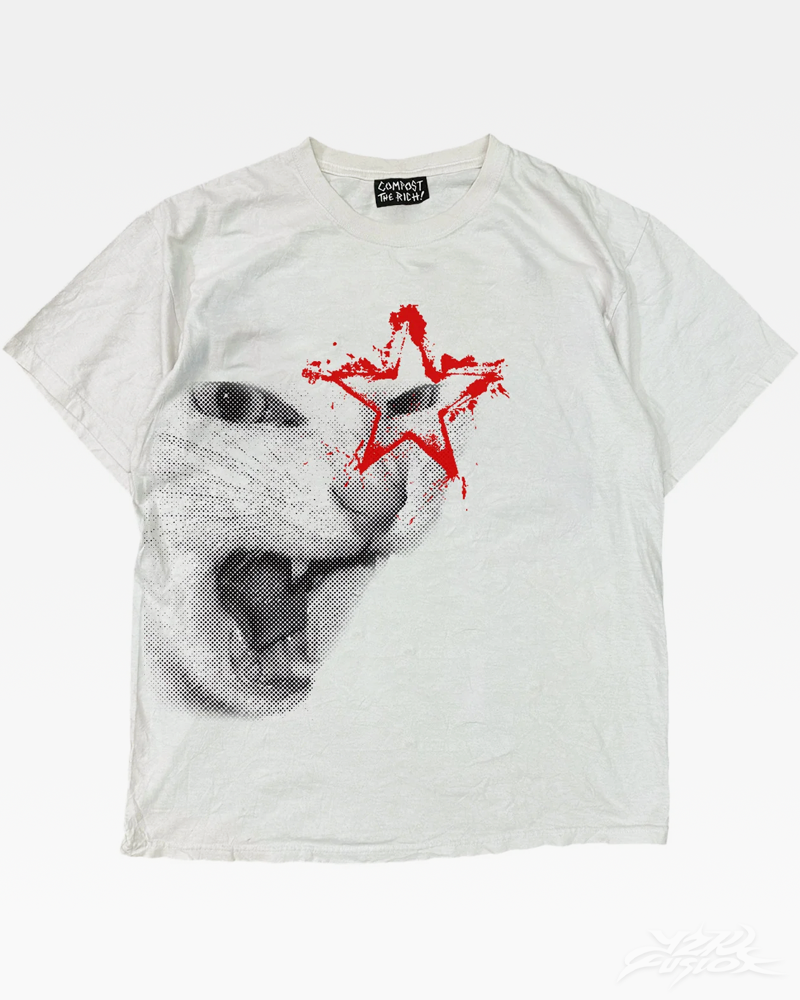 y2k-aesthetic-cat-shirt-1_45d2d794-fb91-4d78-83aa-8b13e5133fa5.png