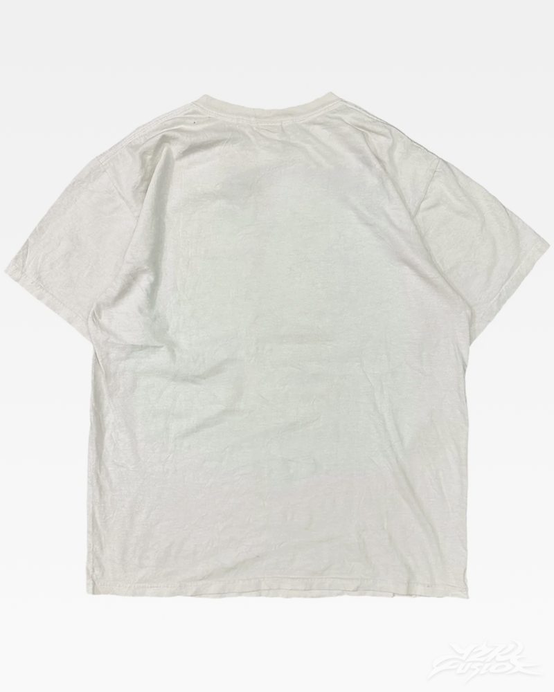y2k-aesthetic-cat-shirt-2_e3ef85df-4d35-40de-a725-6832ebfae597.png