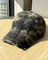 Y2K Kreuz Cap